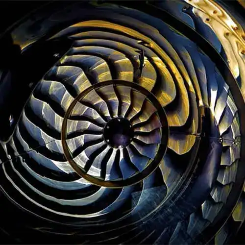 Woodlands Power hero background